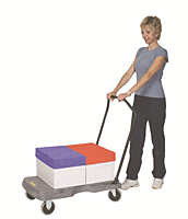 Bi-Mode Poly Folding Handle Truck